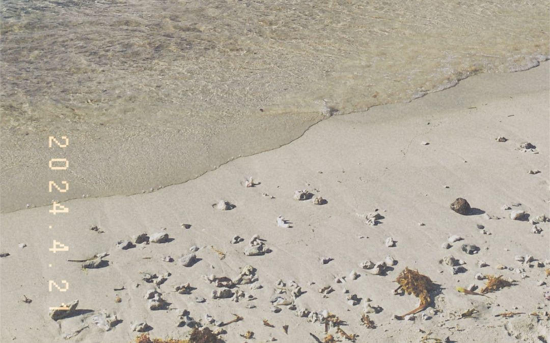 From Mataram to the Gili Trawangan, Gili Meno, Gili Air (Bagian III)