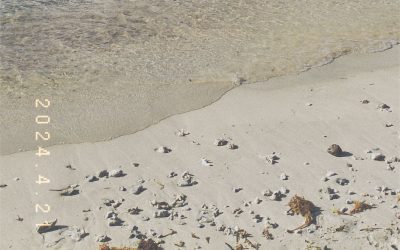 From Mataram to the Gili Trawangan, Gili Meno, Gili Air (Bagian III)